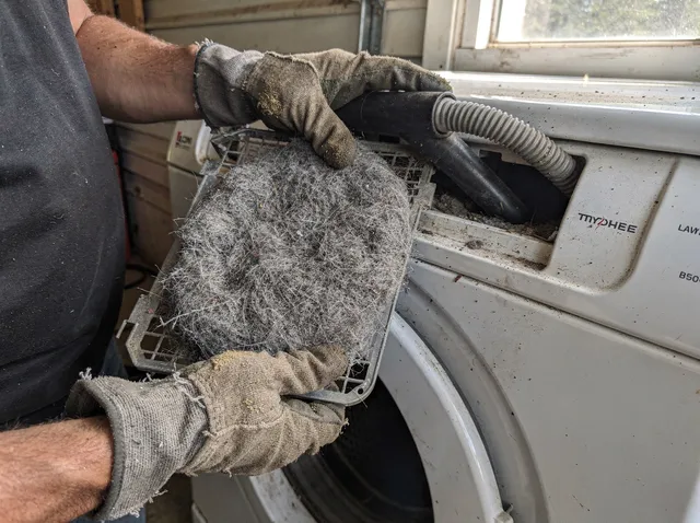 Cleaning Dryer Lint Trap in La Palma